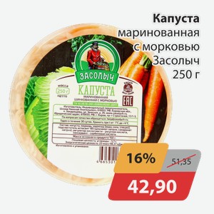 Капуста маринованная с морковью Засолыч 250г