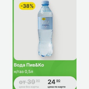 Вода Пив&Ко н/газ 0,5л