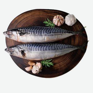 Скумбрия 1кг свежемороженая с головой