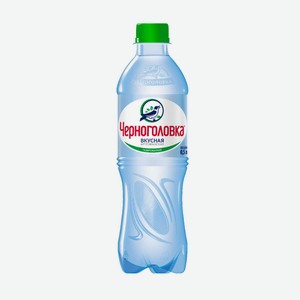 Вода Черноголовка 0,5л газ ПЭТ