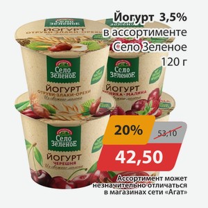 Йогурт 3,5% в ассортименте Село Зеленое 120г