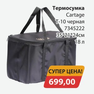 Термосумка Cartage Т-10 черная 7345222 35*31*24см 18л