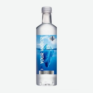 Вода питьевая газ, негаз  Your Water  1л