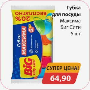 Губка для посуды Максима Биг Сити 5шт