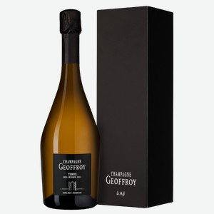 Шампанское Terre Premier Cru Extra But в подарочной упаковке 0.75 л