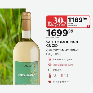 SAN FLORIANO PINOT GRIGIO САН ФЛОРИАНО ПИНО ГРИДЖИО Вино белое сухое Эксклюзивно в АМ Италия 1,5л %11.5