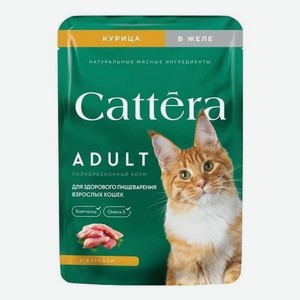Cattera д/кош кур в желе пауч 28*75гр