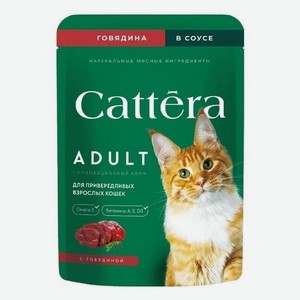 Cattera д/кош гов в соусе пауч 28*75гр