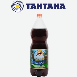 Напиток б/а сильногазированный Напитки из Черноголовки Байкал 2л