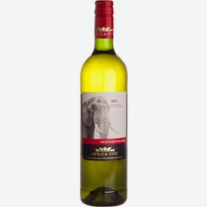 Вино Africa Five Sauvignon Blanc 0.75л