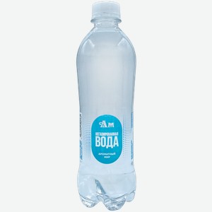 Н/Газ Обработанная Питьевая Вода 0.5л