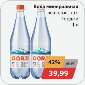 Вода минеральная леч.-стол. газ. Горджи 1 л
