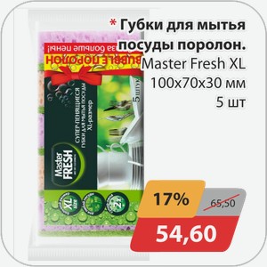 Губки для мытья посуды поролон. Master Fresh XL 100х70х30 мм 5 шт