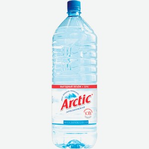 Arctic 2л