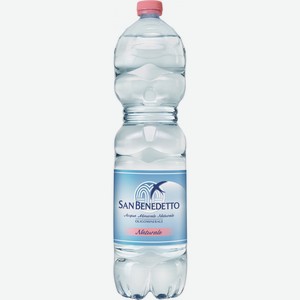 Вода  Сан Бенедетто  Негазированная, в пластиковой бутылке, 1500 мл