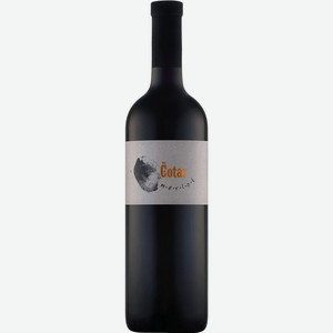 Вино Чотар, Мерло, 2009, 2009, 750 мл, Красное, Сухое