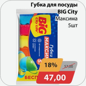 Губка для посуды BIG City Максима 5 шт