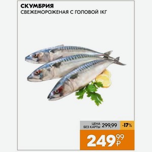 скумбрия СВЕЖЕМОРОЖЕНАЯ С ГОЛОВОЙ 1кг