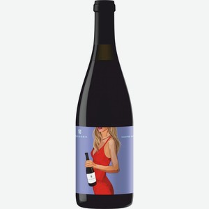 Вино  Винодел & Сомелье  Каберне Фран, 2019, 2019, 750 мл, Красное, Сухое